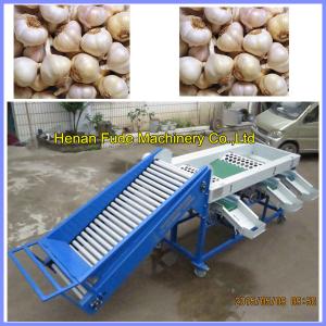Buy cheap Garlic grading machine , onion sorting machine product