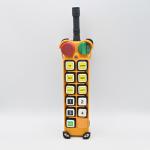 CE Crane Radio Remote Control , 250m 24V Winch Remote Control