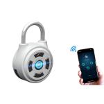 OEM Acceptable Led Light Display Keyless Smart Bluetooth Pad Lock