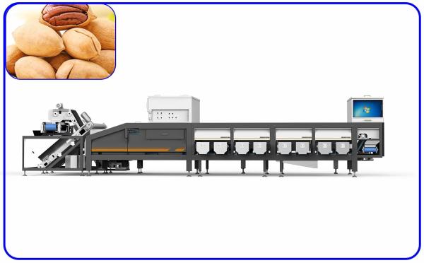 Quality Agricultural Pecan Sorting Equipment 16 Channel For Size And Damage for sale