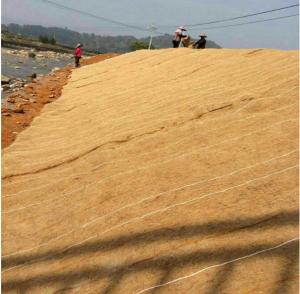 China 200g 300g 400g erosion control blanket ecological blanket Coconut fiber Geotextile coir geotextile on sale