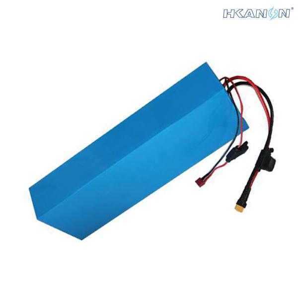 Rechargeable Lithium Ion Electric Bicycle Lithium Battery Phylion Akku Xh25910j With BMS