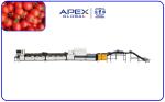 99.9% Accurate Automatic Cherry Tomato Sorting Machine PLC Control