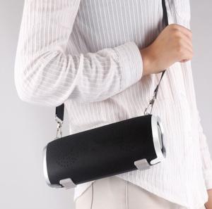 V5.0 EDR Portable Wireless Bluetooth Speaker Support TF Card With Carry Strap