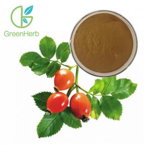 China Fruit Extract Powder Herbal Extract Rose Hips Extract Powder 5% VC on sale