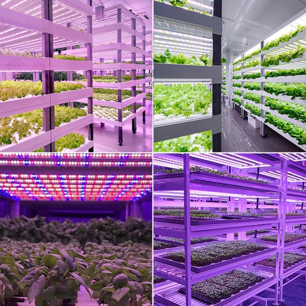 4ft 6ft 8ft Full Spectrum LED Light Strips V Shape Reflector LED Tube Grow Light