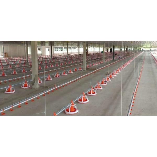 Broiler Automatic Feeder Chicken Breeding Equipment