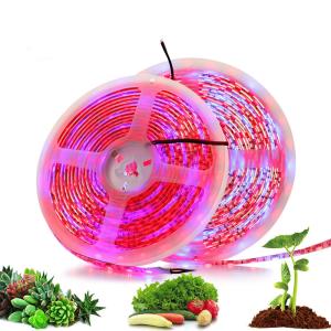 China DC12V DIY Red Blue 3:1 4:1 5:1 Led Mood Light 12V Grow Light Strips For Plants on sale