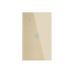 1/2/3 Gang WiFi RF Smart Switch 100V Smart Touch Wall Switch 2 Way