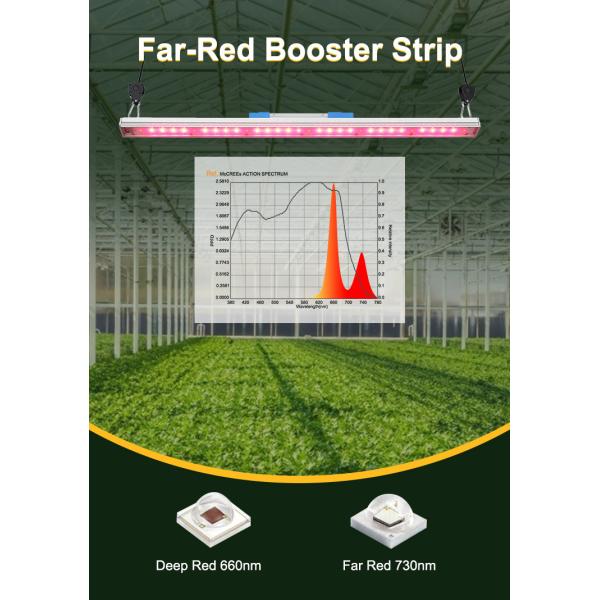 660nm 730nm Red Far Red Bloom Booster Grow Light Bavagreen IR