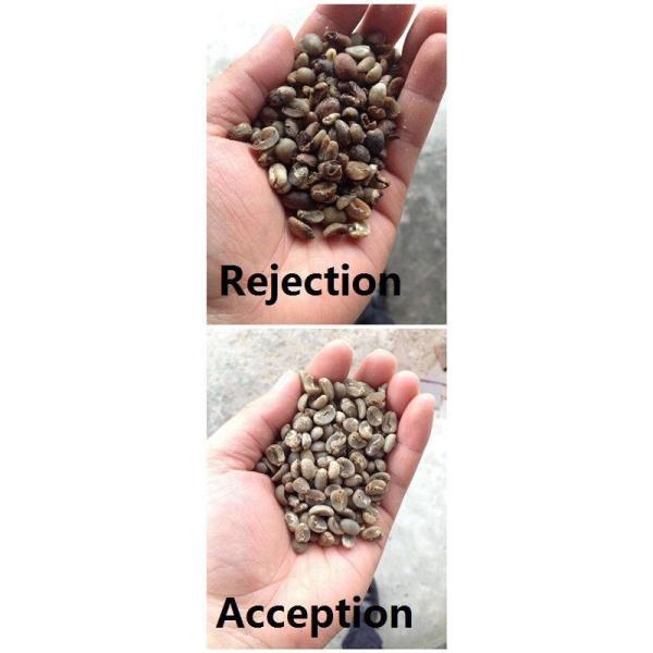 Big Capacity Coffee Bean Color Sorter Automatic Grading Machine High Accurate