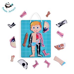Magnetic Human Body Anatomy Play Set Multi Color Jigsaw Puzzle For Kids