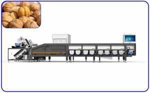 Buy cheap Intelligent 8 Channel Walnut Sorting Machine 50Hz Agricultural Product Sorter product