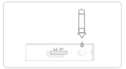 Colloidal Gold Saliva Rtk Antigen Test Kit COVID 19 Rapid 16x6x1.5cm For Home Use