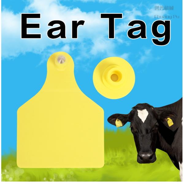 Yellow Sheep And Goat Tags / Plastic TPU Pig Ear Tag Livestock Identification