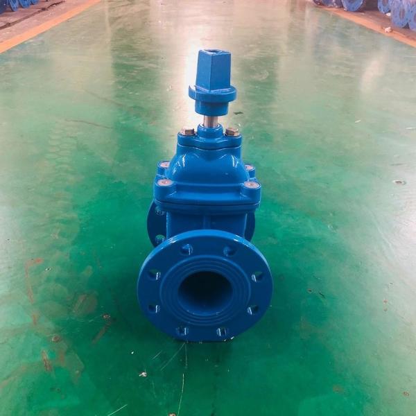 DN300 Ductile Iron BS Gate Valve Low Temperature For Industrial Use