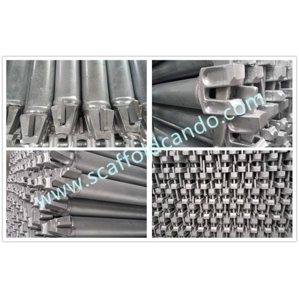 Factory specialized in Hot dip galvanized painted Ringlock scaffold ledger horizontal 1200,1500,1800mmL for sale