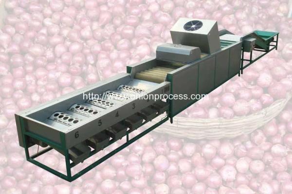 Quality Automatic Onion Selecting Cleaning and Sorting Machine for sale