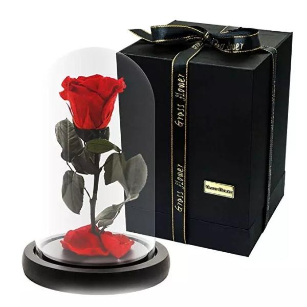 Hot Selling Preserved Rose with Glass Dome Mini Artificial Flowers Preserved Flowers for Valentines day Gifts