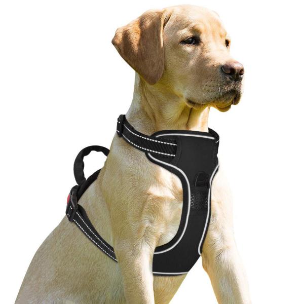 Quality Outdoor Pet Dog Harness Leash Adjustable Reflective Vest With D Ring Buckle for sale
