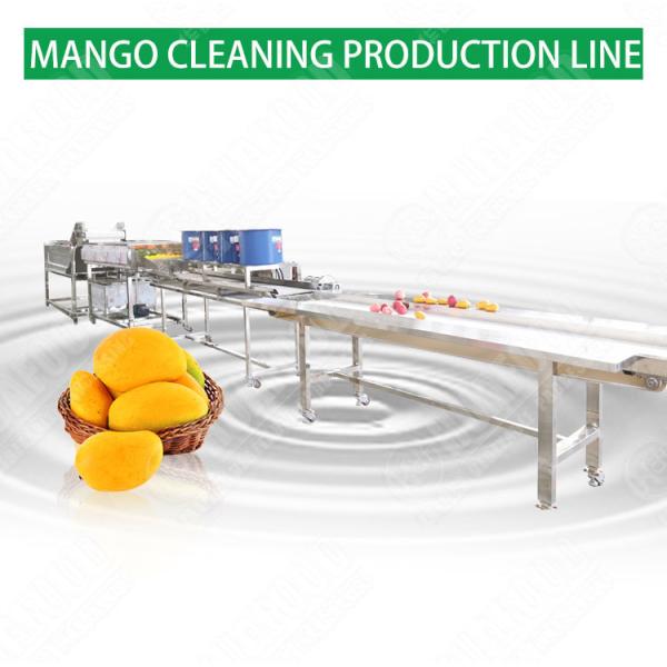 SS304 Vegetable And Fruit Washing Machine Mango Processing Line