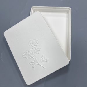 Bagasse Paper Pulp Box Wet Press Biodegradable Compostable 1mm Thickness