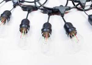 RGB Filaments S14 String LED Garden Festoon Lights