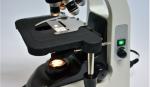 Infinite Kohler Halogen Illumination Inverted Tissue Culture Microscope