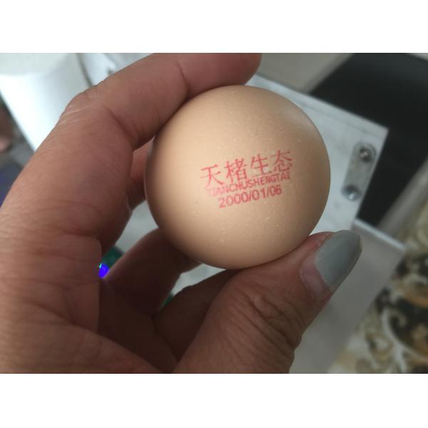 High-Speed Mobile Jet Coding Machine , Industrial Inkjet Coding Printer With Synchronizer