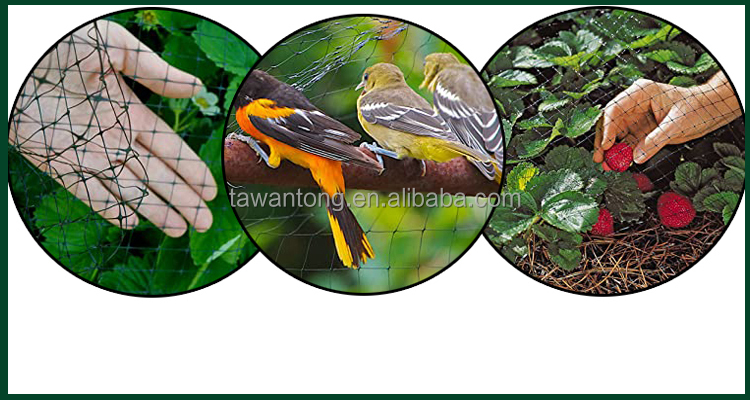 50gsm PP Plastic Deer Protective Net for Garden and Landscape Mesh Customized Length