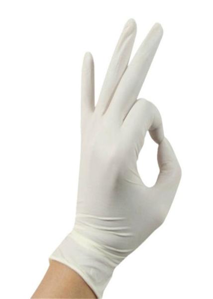 Quality Ambidextrous Clear Food Service Gloves Prevent Roll Back High Softness for sale