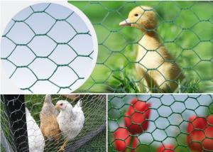 Poultry Fence 50mm BWG19 Reverse Twisted Hexagon Metal Mesh