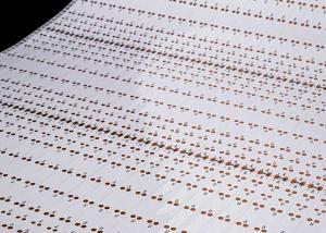 HOT SALE 3528 LED Strip Flexible Circuit Board With 30 Light Beats 24V Double Sided Board FPCB 3528-30leds/PCS-8*500-24V double-sided Board white film FPCB