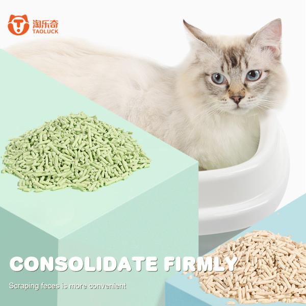 Quality Long Lasting Tofu Litter Sand Freshness Natural Flushable Cat Litter for sale
