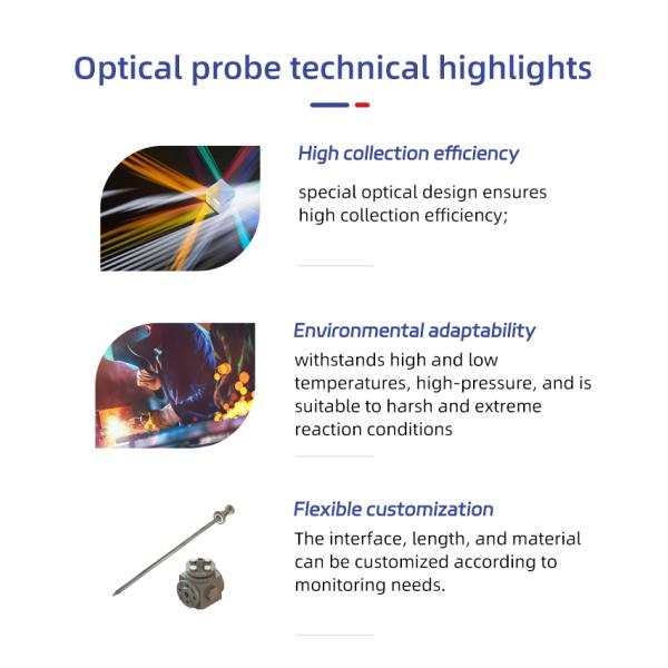 Raman Probe for Automated Sampler in Continuous Flow Reaction Systems