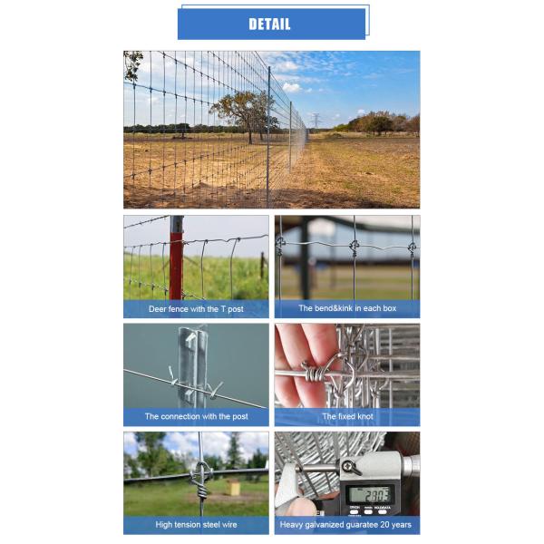 Livestock Galvanized 12 Foot Hinge Joint Field Fence For Aquaculture
