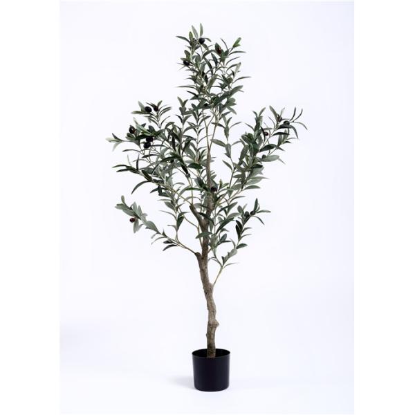 Hand Crafted Olive Tree Bonsai Indoor Indoor Decoration Bright Spot Color Change