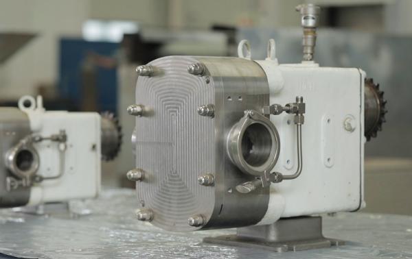 Quality SS Sanitary Rotary Lobe Pump Condiments Hygienic Fluid Handling for sale
