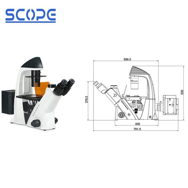 Quality Infinity Plan Objective Inverted Epifluorescence Microscope , Inverted Optical Microscope for sale