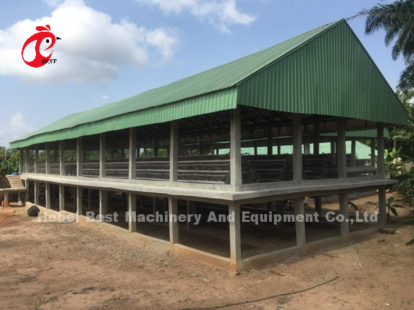 Automatic Battery Layer Cage , Poultry Farming Cage Nigeria Lagos Sandy