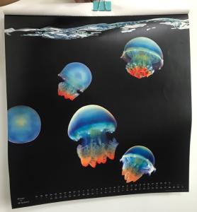 China Double Sided 3d Custom Lenticular Printing 200g White Cardboard on sale