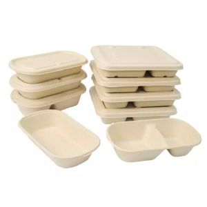 Disposable Compostable Take Away Food Containers Sugarcane Bagasse Tableware Box