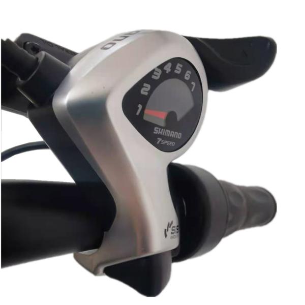 Ladies Beach 26 Inch Electric Bike Mountain 250w 500w Motor 36v-48v Arrow