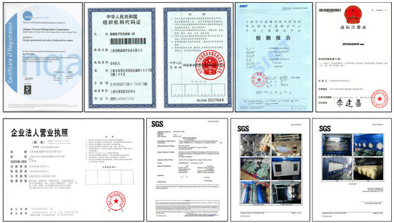 Cube Ice Machine for Farms Ice Type Cube Cubes and Performance