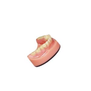 Buy cheap Denture Dental lab PFM Dental Bridge 3D Digital Intraoral Scanning Imaging System product