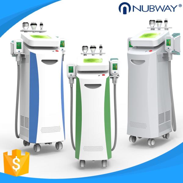 Quality 5 handles Vacuum+Cryo, Cavitation and RF multifunctional Cryolipolysis slimming machine for sale