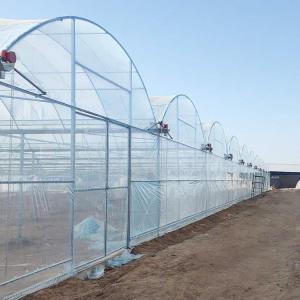 China Durable Custom Size Agricultural Poly Large Tunnel Film Multi-span Greenhouse on sale