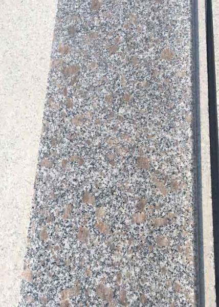 Quality Pearl Flower Polished Granite Stair Treads Grey White G383 120 X 33 X 3cm​​ for sale