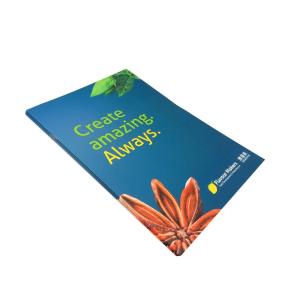 China Custom printing brochure any kinds of paper folded booklet / leaflet on sale