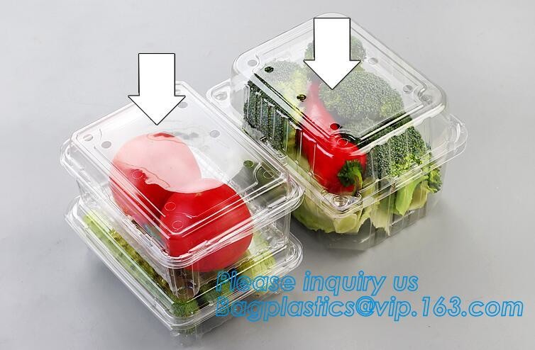 Blister large clear plastic fruit container with lid for fruit packaging,blister fruit box /container/ fruit Tray/ Clear